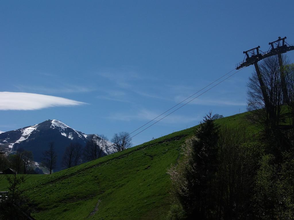 Apartamento Haus Bergheim Saalbach-Hinterglemm Exterior foto